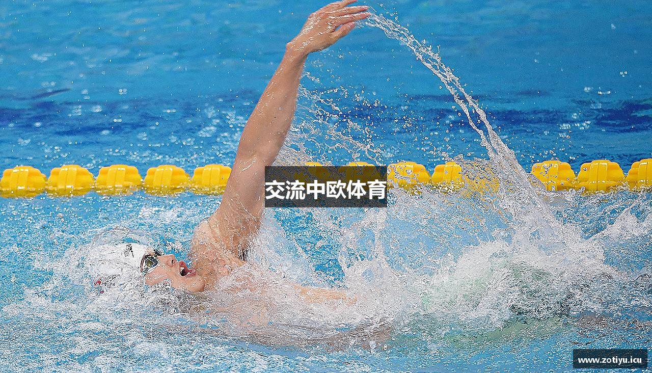 交流中欧体育